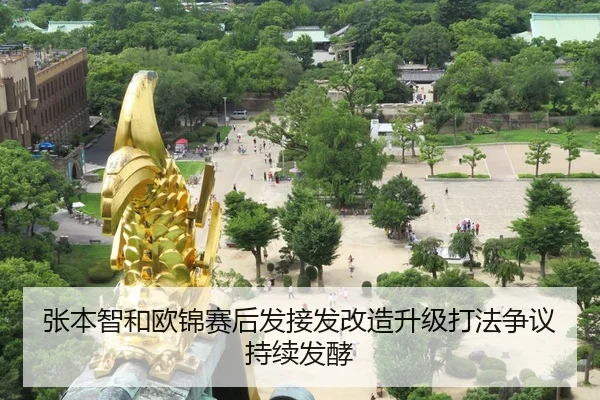 张本智和欧锦赛后发接发改造升级打法争议持续发酵